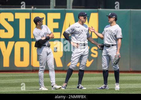 Yankees' 'jumbo package' of Aaron Judge, Giancarlo Stanton, Joey Gallo sets  MLB record 