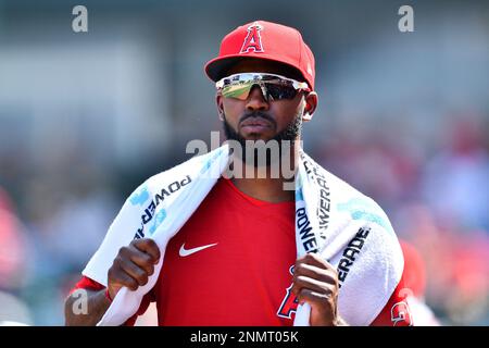 Houston Astros outfielder L.J. Hoes (28) during a spring training game  against the Miami Marlins on March 21, 2014 at Osceola County Stadium in  Kissimmee, Florida. Miami defeated Houston 7-2. (Mike Janes/Four