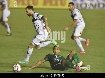 PB - Joao Pessoa - 09/19/2021 - BRAZILIAN C 2021, BOTAFOGO PB X