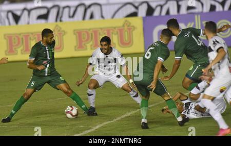 PB - Joao Pessoa - 7/24/2021 - BRAZILIAN C 2021, BOTAFOGO-PB X SANTA CRUZ -  Botafogo-PB player Savio celebrates his goal during a match against Santa  Cruz at Almeidao stadium for the