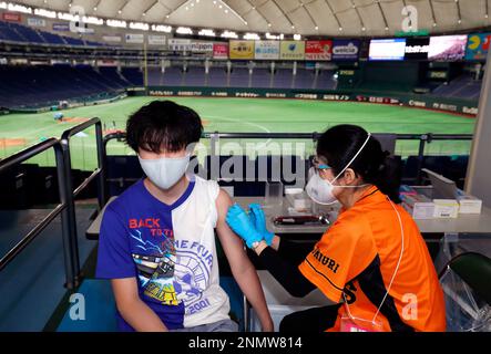 Mondo Mascots on X: Giabbit, the mascot for the Yomiuri Giants, greets  people coming to get a Covid vaccine at Tokyo Dome. The Giants play  baseball there, and it is currently a