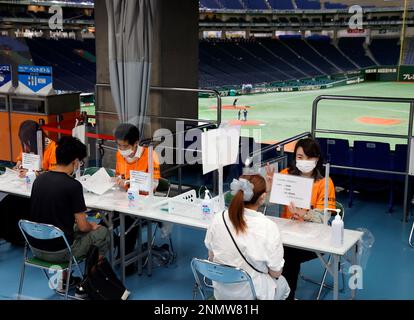 Mondo Mascots on X: Giabbit, the mascot for the Yomiuri Giants, greets  people coming to get a Covid vaccine at Tokyo Dome. The Giants play  baseball there, and it is currently a