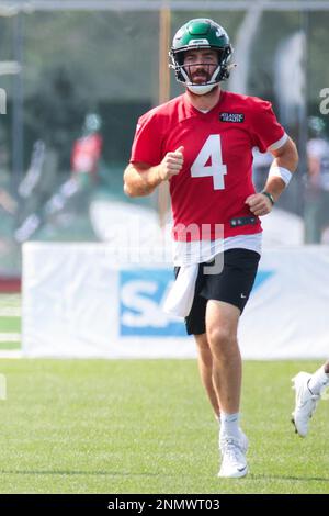 New York Jets tight end Trevon Wesco (85) runs against the Miami Dolphins  during an NFL football game, Sunday, Nov. 21, 2021, in East Rutherford,  N.J. (AP Photo/Adam Hunger Stock Photo - Alamy