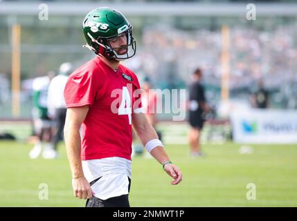 New York Jets tight end Trevon Wesco (85) runs against the Miami Dolphins  during an NFL football game, Sunday, Nov. 21, 2021, in East Rutherford,  N.J. (AP Photo/Adam Hunger Stock Photo - Alamy