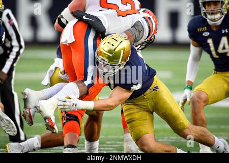 Matt Freeman on X: Notre Dame LB Drew White has signed with the