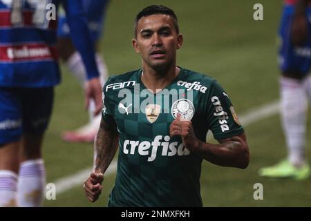 Palmeiras x Fortaleza - AO VIVO - 07/08/2021 - Campeonato Brasileiro 