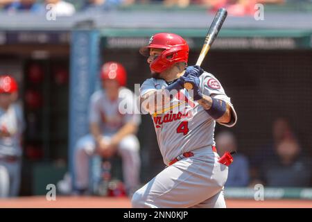 CLEVELAND, OH - JULY 28: Yadier Molina (4) of the St. Louis Cardinals looks  on while waiting to bat during a game against the Cleveland Indians at Pro  Stock Photo - Alamy