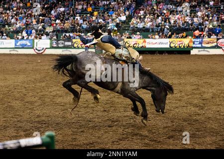 Reno, Nv - June 24: Keenan Reed Hayes Of Hayden, Co Prepares His Horse 