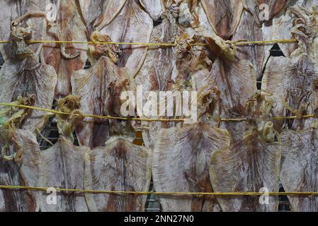 Many dried squid in vietnamese night market in Da Lat Stock Photo