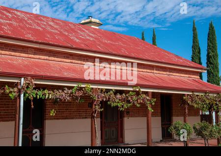 Wentworth Australia, vines growing on front porch of old home Stock Photo