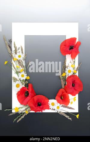Natural summer wildflower background with white frame, meadow flowers and grasses. Minimal nature beauty concept. Border on gradient grey. Stock Photo