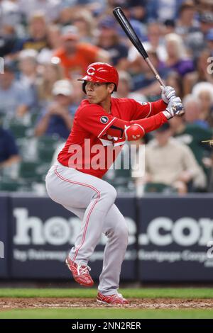 MILWAUKEE, WI - JULY 11: Cincinnati Reds outfielder Nick