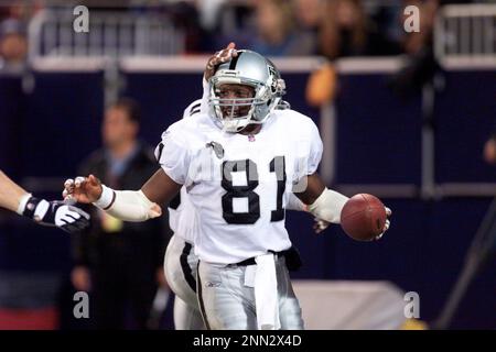 25 Nov 2001: Jerry Rice of the Oakland Raiders during the Raiders 28-10  victory over the New York Giants at Giants Stadium in East Rutherford, New  Jersey. (Icon Sportswire via AP Images