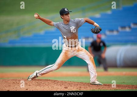 Maxwell Muncy (20) during the WWBA World Championship at the Roger Dean  Complex on October 11, 2019 in Jupiter, Florida. Maxwell Muncy attends Thousand  Oaks High School in Camarillo, CA and is committed to Arkansas. (Mike  Janes/Four Seam