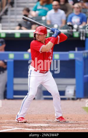 BUFFALO, NY - JULY 01: Toronto Blue Jays pitcher Adam Cimber (90