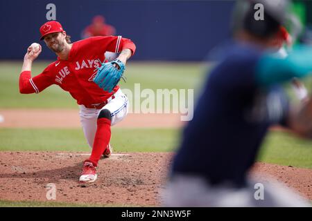 BUFFALO, NY - JULY 01: Toronto Blue Jays pitcher Adam Cimber (90