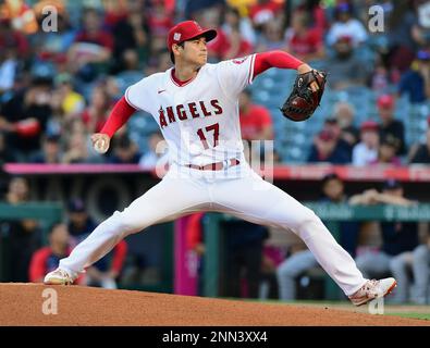 Los Angeles Dodgers starting pitcher Kenta Maeda delivers a pitch to Los  Angeles Angels designated hitter Shohei Ohtani in the second inning during  the Major League Baseball game at Angel Stadium in