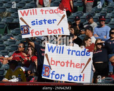 Los Angeles Angels on X: 大谷翔平 2022年オールスター！ Shohei Ohtani will head to the 2022  All-Star Game as the starting American League Designated Hitter!   / X