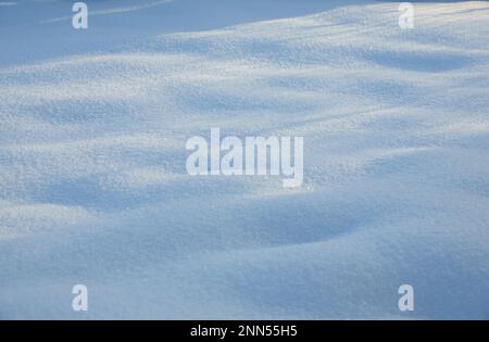 White snow in winter, abstract background Stock Photo
