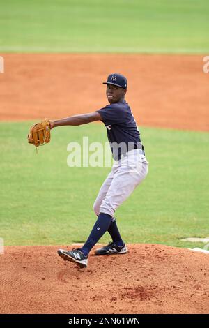 Juan Samuel  Four Seam Images