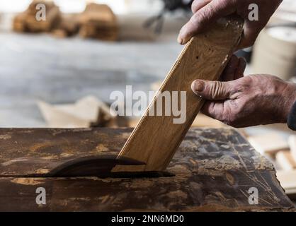 Close up of carpenter's hands holding parquet on circular saw for trimming and installation Stock Photo