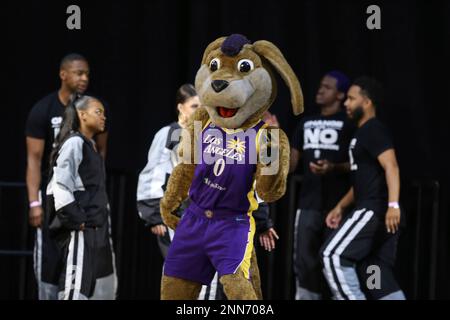 Mascot Sparky the Dog of the Los Angeles Sparks looks on during