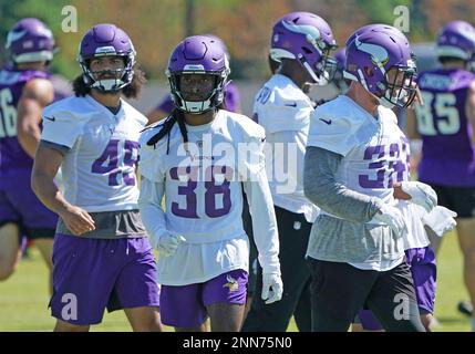 Minnesota Vikings linebacker Troy Dye warms up before their game against  the San Francisco 49ers during an NFL preseason football game, Saturday,  Aug. 20, 2022, in Minneapolis. (AP Photo/Craig Lassig Stock Photo 