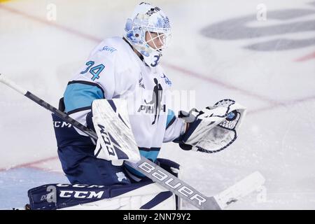 Player profile photo on goalie Shea Tiley (from Canada) during PWHPA