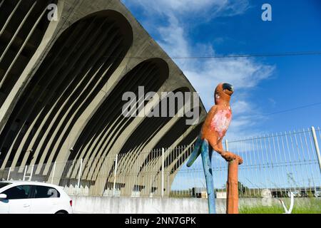 PB - Joao Pessoa - 09/05/2021 - BRAZILIAN C 2021, BOTAFOGO PB X TOMBENSE -  Tsunami, Botafogo-PB player celebrates his goal during a match against  Tombense at Almeidao stadium for the Brazilian