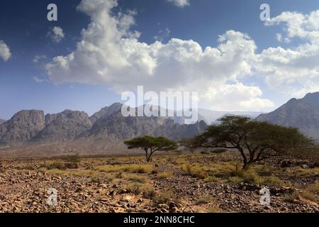 View over the Hamada rocky landscape in Wadi Feynan, Al-Sharat, Wadi Araba Desert, south-central Jordan, Middle East. Stock Photo