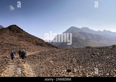 View over the Hamada rocky landscape in Wadi Feynan, Al-Sharat, Wadi Araba Desert, south-central Jordan, Middle East. Stock Photo