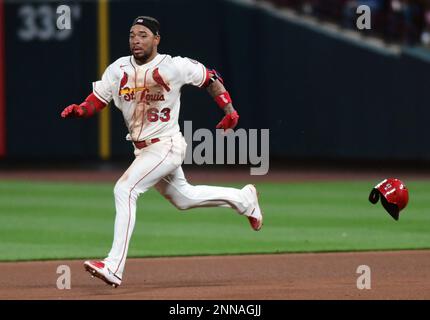 Edmundo Sosa - Infielder: St. Louis Cardinals