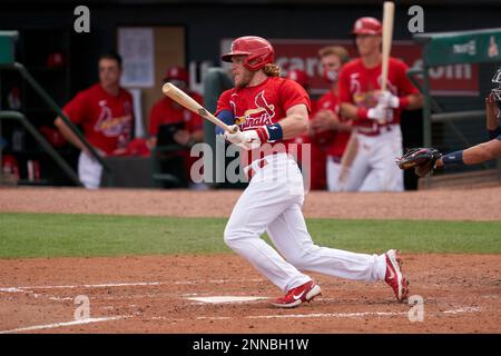 Photo: St. Louis Cardinals Harrison Bader and Cincinnati Reds Joey Votto  wear high socks - SLP2018083113 