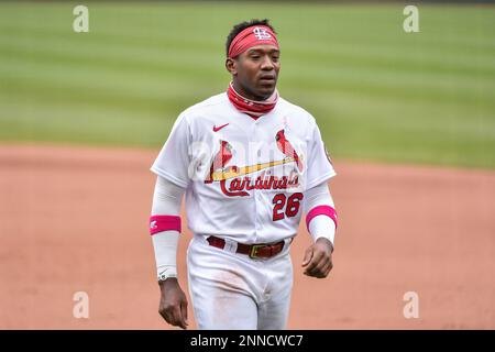 ST. LOUIS, MO - MAY 09: St. Louis Cardinals catcher Yadier Molina (4) wears pink  gear in honor of Mother's Day during a game featuring the Colorado Rockies  at the St. Louis