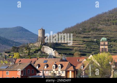 Kaysersberg castle, Chateau de Kaysersberg, Alsace, France Stock Photo