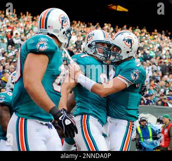 Miami Dolphins tight end Joey Haynos looks for a pass interference call  against the Tampa Bay Buccaneers in fourth-quarter action at Land Shark  Stadium in Miami, Florida, Sunday, November 15,2 009. The