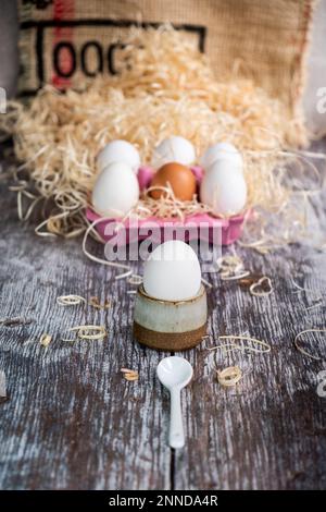 Egg in an egg cup with a small white spoon, with 6 eggs in a pink egg box behind on a straw strewn wooden board Stock Photo