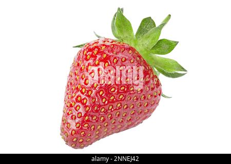 One ripe strawberry. Isolated on a white background. File contains clipping path. Stock Photo