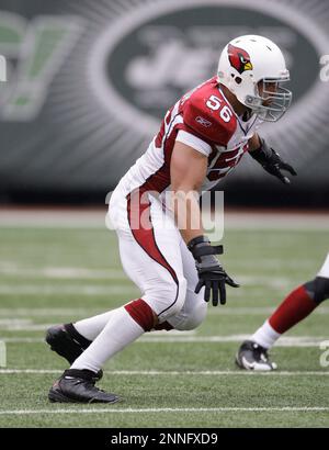 Arizona Cardinals linebacker Chike Okeafor is shown against the Detroit