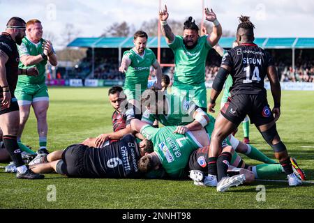 LONDON, UNITED KINGDOM. 25th, Feb 2023. Philip van der Walt Newcastle Falcons (under) Gary Graham Newcastle Falcons (centre) scores a try during Gallagher Premiership Rugby Match between Saracens vs Newcastle Falcons at StoneX Stadium on Saturday, 25 February 2023. LONDON ENGLAND.  Credit: Taka G Wu/Alamy Live News Stock Photo