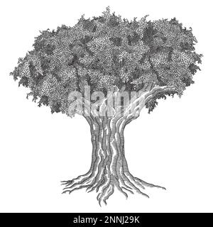 Big tree with leaves. Stock Vector