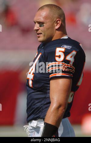 Chicago Bears line backer Brian Urlacher (54) laments the loss to