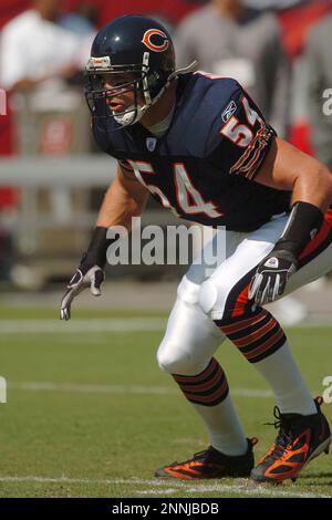 Chicago Bears line backer Brian Urlacher (54) laments the loss to