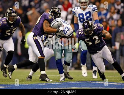 20 December 2008 - Ray Lewis (52) of the Baltimore Ravens during the Ravens  33-24 win over the Cowboys at Texas Stadium in Irving, Texas. (Icon  Sportswire via AP Images Stock Photo - Alamy