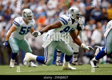 27 November 2008 - Terrell Owens (81) of the Dallas Cowboys during the  Cowboys 34-9 win over the Seattle Seahawks at Texas Stadium in Irving,  Texas. (Icon Sportswire via AP Images Stock Photo - Alamy