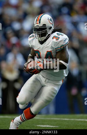 Detroit Lions defensive tackle Corey Williams (99) during an NFL football  game against the Dallas Cowboys Sunday, Nov. 21, 2010, in Arlington, Texas.  The Cowboys won 35-19. (AP Photo/Sharon Ellman Stock Photo - Alamy