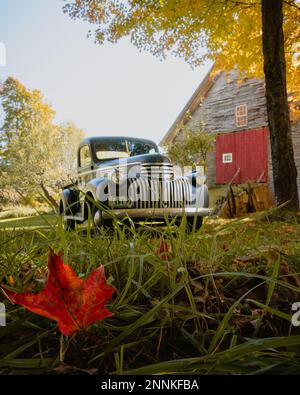 An old pickup truck in front of a barn with a red leaf in front during Indian Summer Stock Photo