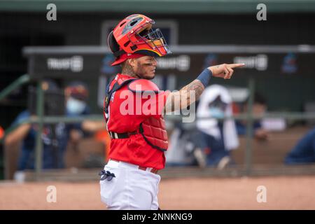 JUPITER, FL - MARCH 20: St. Louis Cardinals non-roster invitee infielder  Jose Rondon (64) scores a run after being batted in by St. Louis Cardinals  outfielder Lane Thomas (not shown) during an