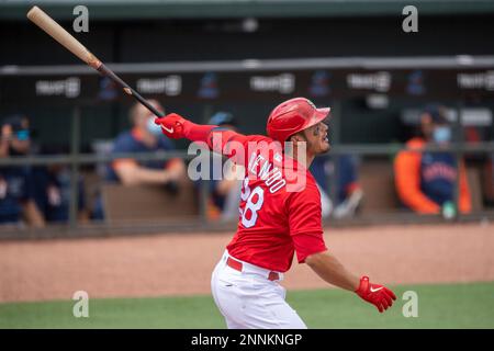 JUPITER, FL - MARCH 20: St. Louis Cardinals non-roster invitee infielder  Jose Rondon (64) scores a run after being batted in by St. Louis Cardinals  outfielder Lane Thomas (not shown) during an