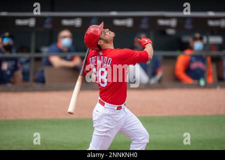 JUPITER, FL - MARCH 20: St. Louis Cardinals non-roster invitee infielder  Jose Rondon (64) scores a run after being batted in by St. Louis Cardinals  outfielder Lane Thomas (not shown) during an